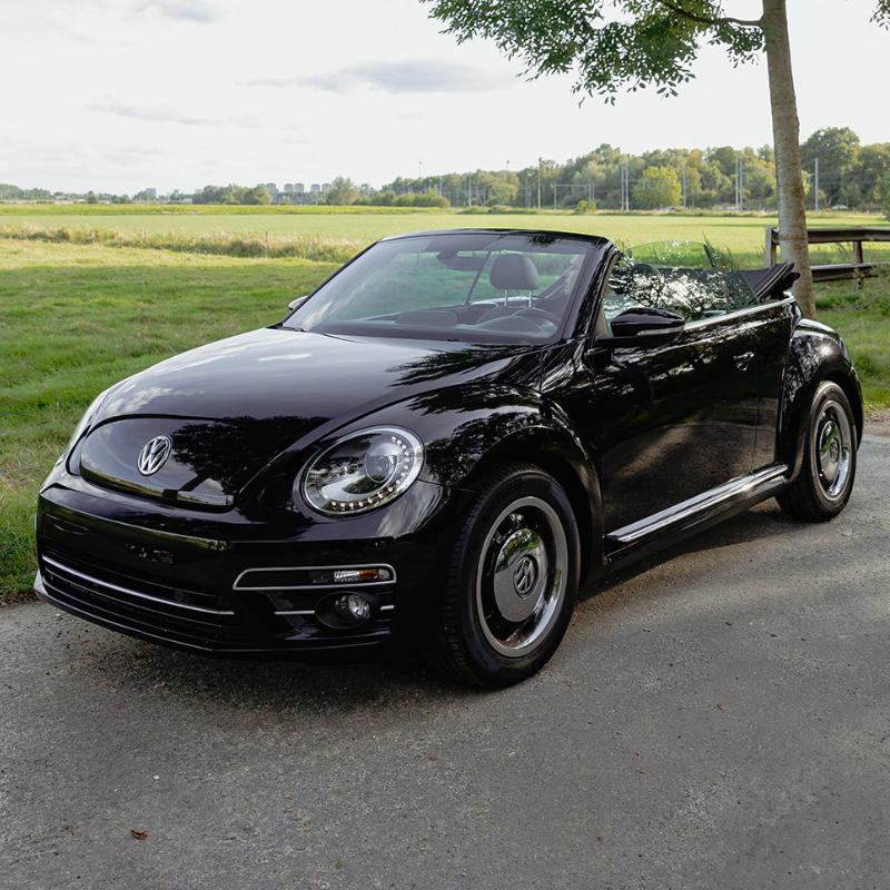 vw beetle